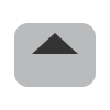 Silver Trophy